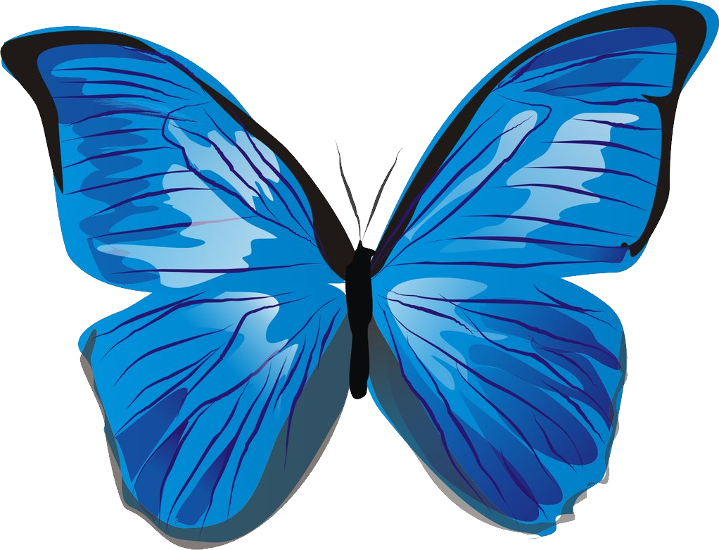 Vibrant Blue Butterfly Illustration PNG Image