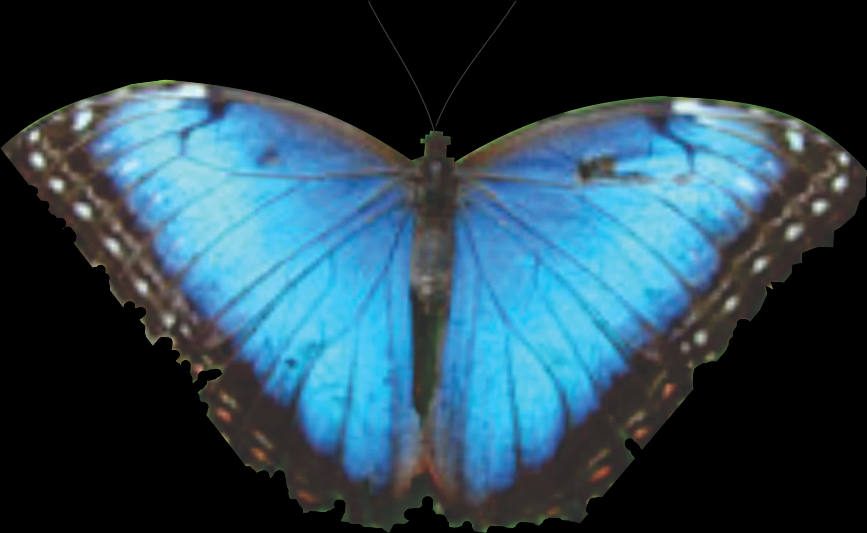 Vibrant Blue Butterfly Spread Wings PNG Image