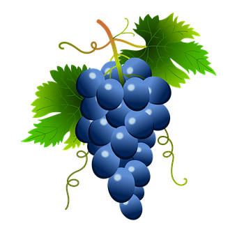 Vibrant_ Blue_ Grapes_ Vector PNG Image