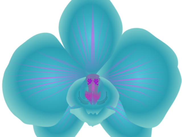 Vibrant Blue Orchid Illustration PNG Image