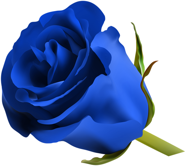 Vibrant Blue Rose Graphic PNG Image