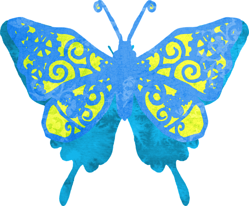 Vibrant Blue Yellow Patterned Butterfly PNG Image