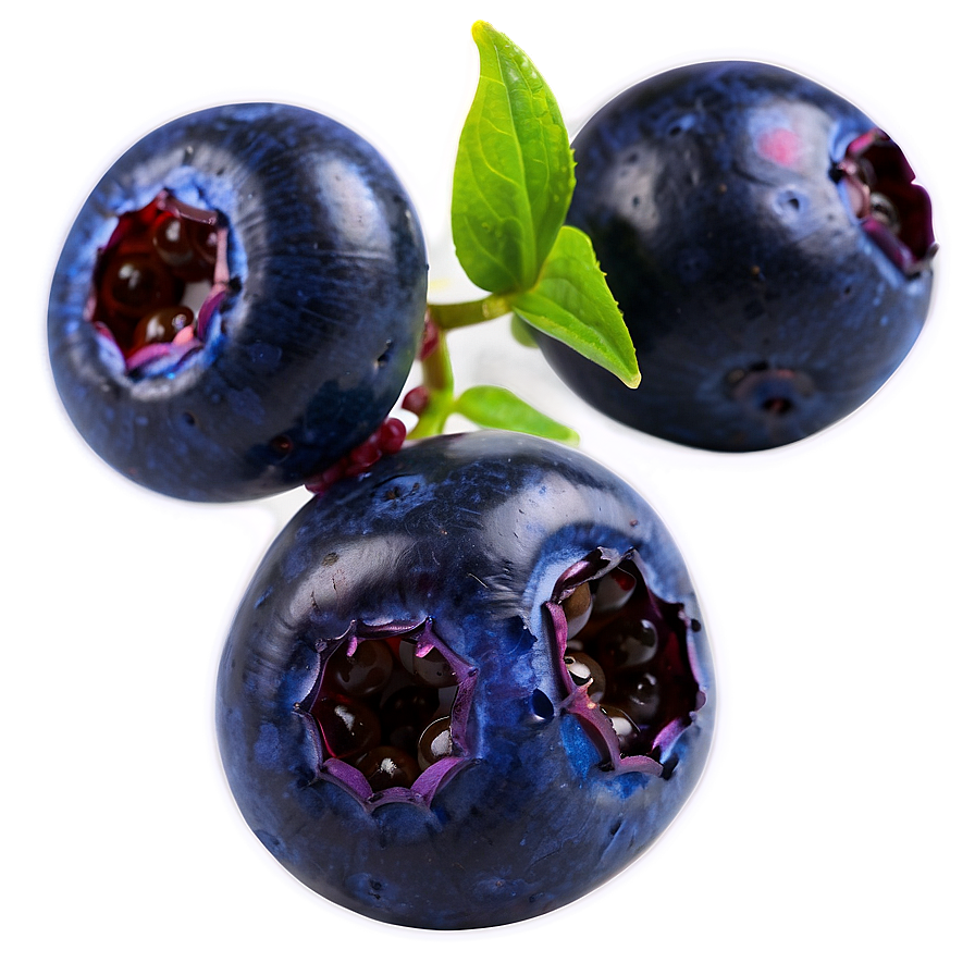 Vibrant Blueberry Png Hos35 PNG Image