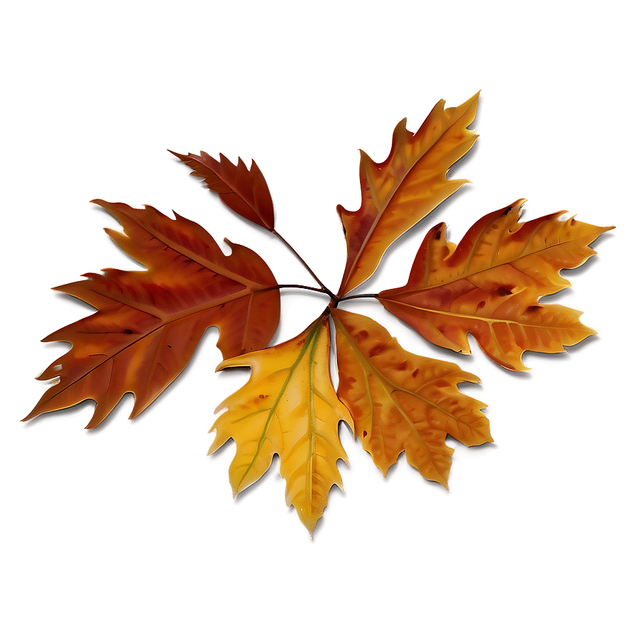 Vibrant Brown Fall Foliage Png Yjh PNG Image