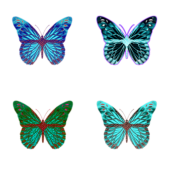 Vibrant Butterfly Collection PNG Image