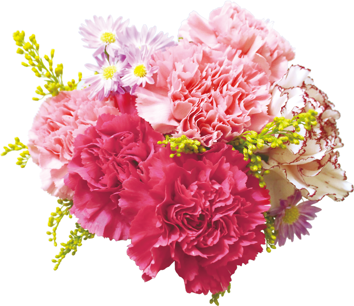 Vibrant Carnation Bouquet PNG Image