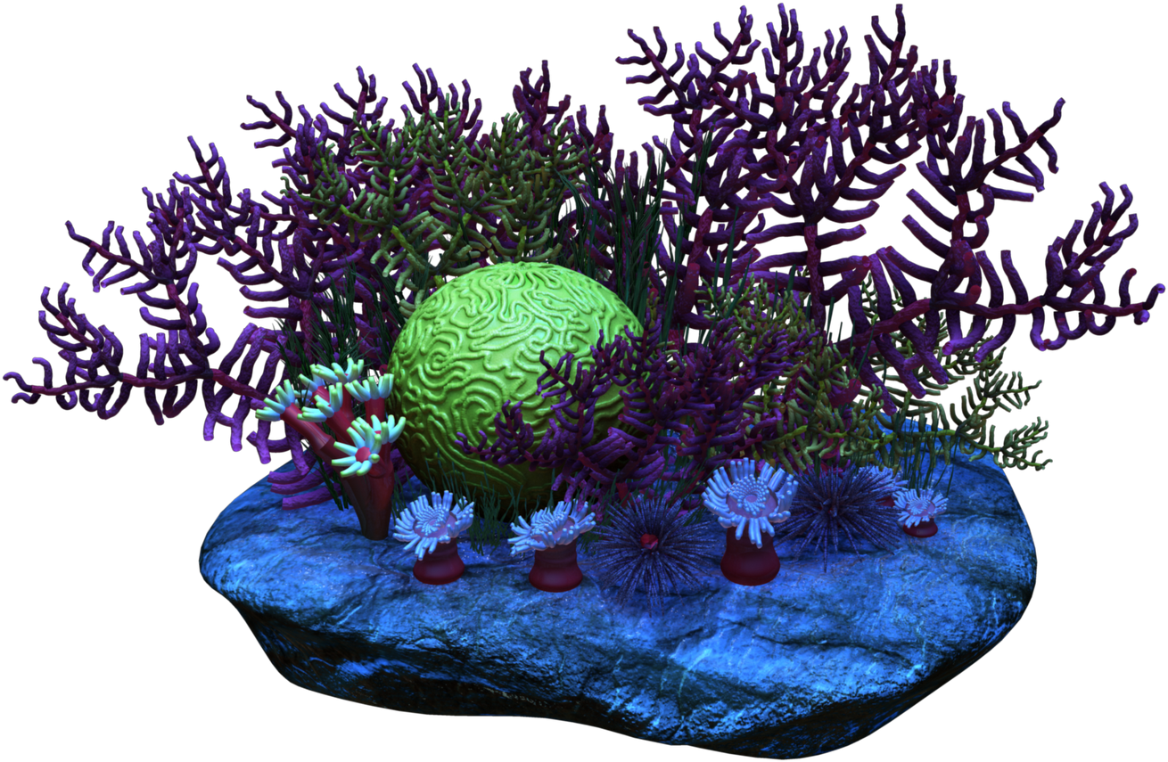 Vibrant Coral Reef3 D Render PNG Image