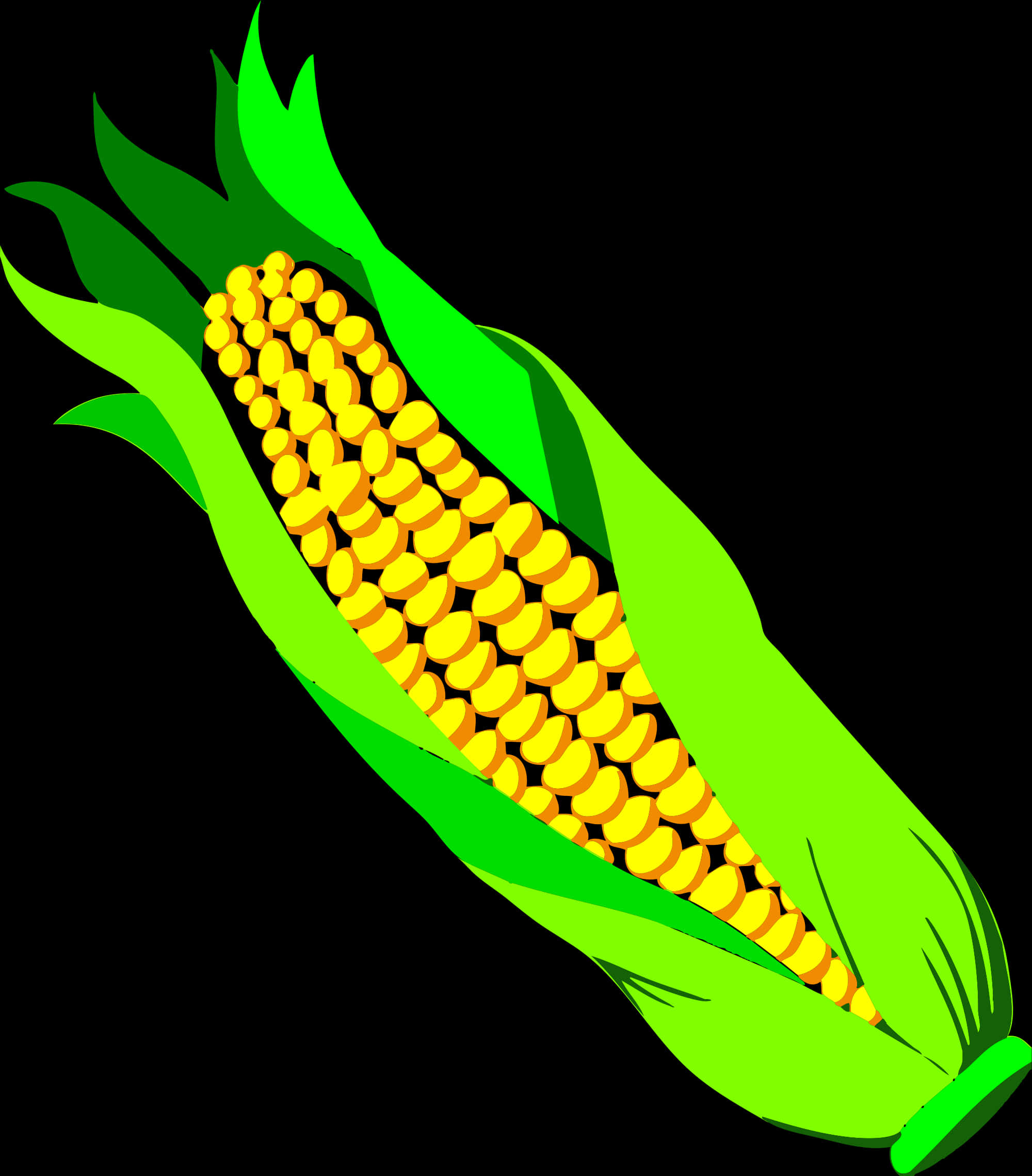 Vibrant Corn Cob Illustration PNG Image