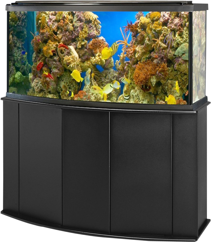 Vibrant Corner Aquarium Setup PNG Image