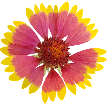 Vibrant Digital Flower Art PNG Image