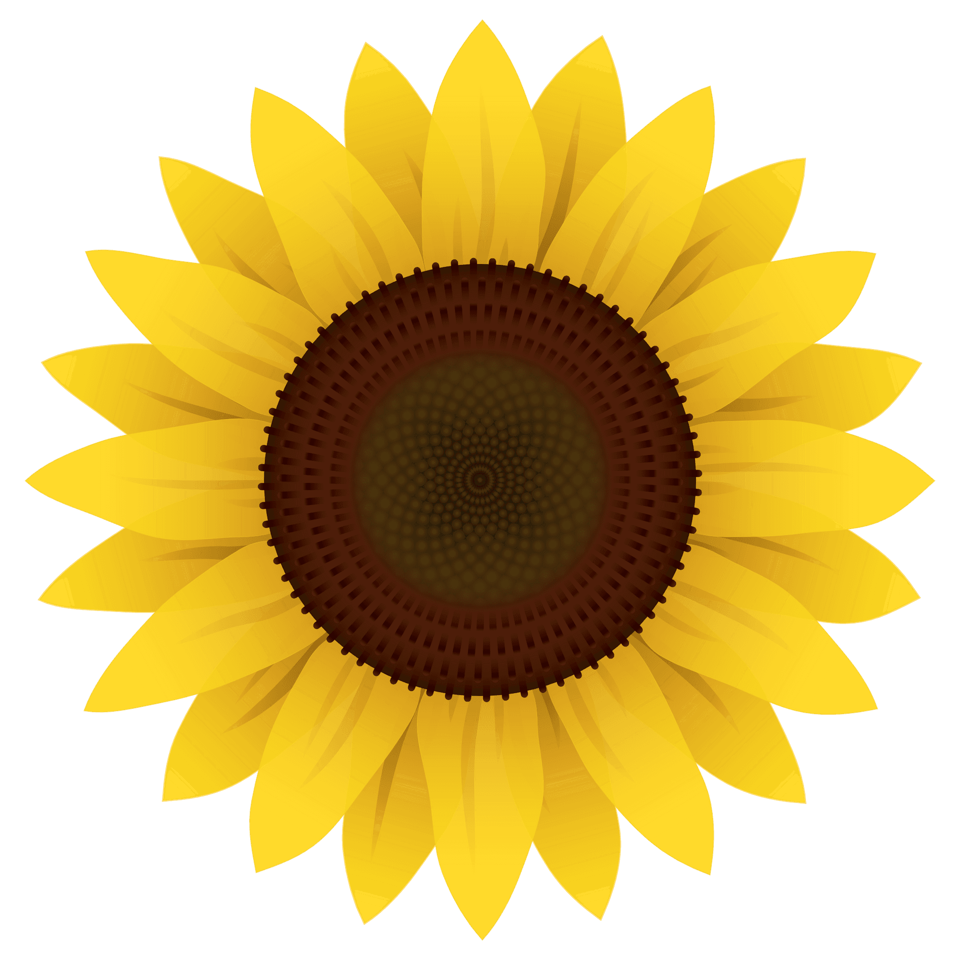 Vibrant Digital Sunflower Art PNG Image