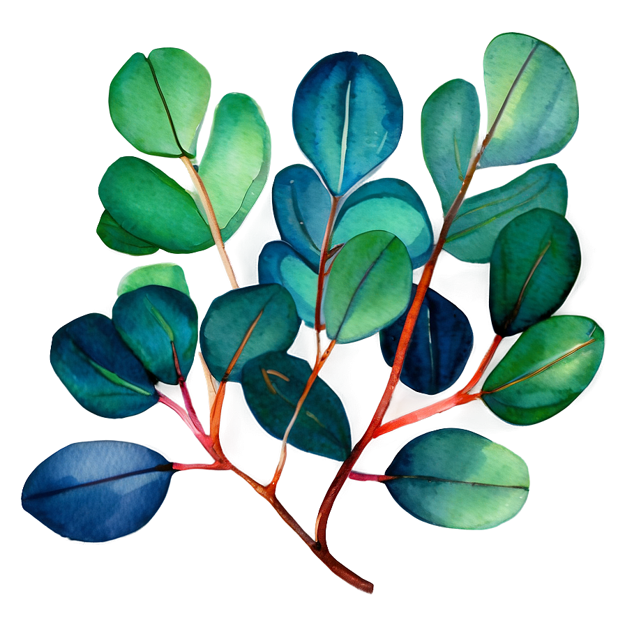 Vibrant Eucalyptus Watercolor Png Ofu PNG Image