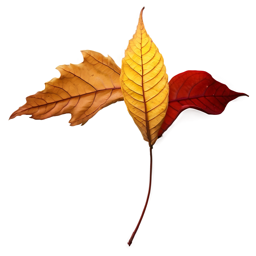 Vibrant Fallen Leaves Closeup Png Onq55 PNG Image