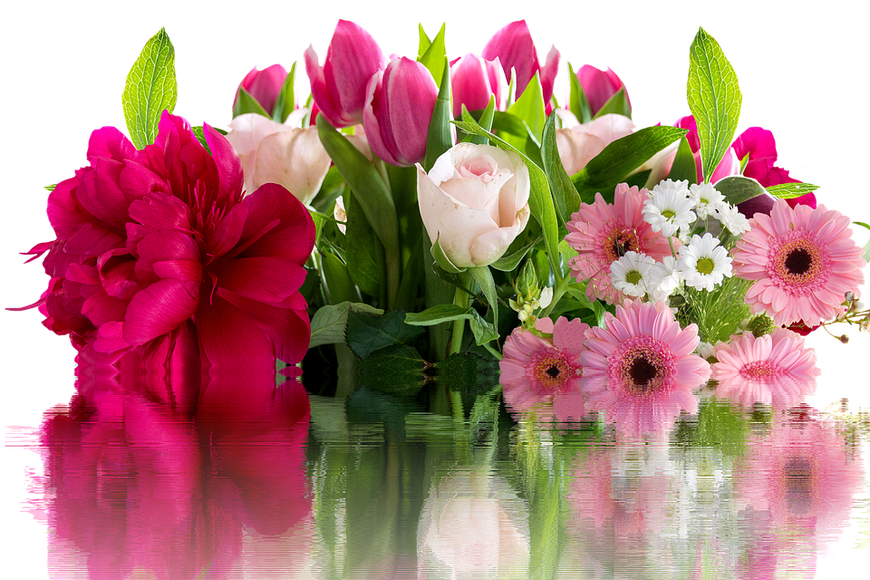 Vibrant_ Floral_ Assortment_ Reflections.jpg PNG Image