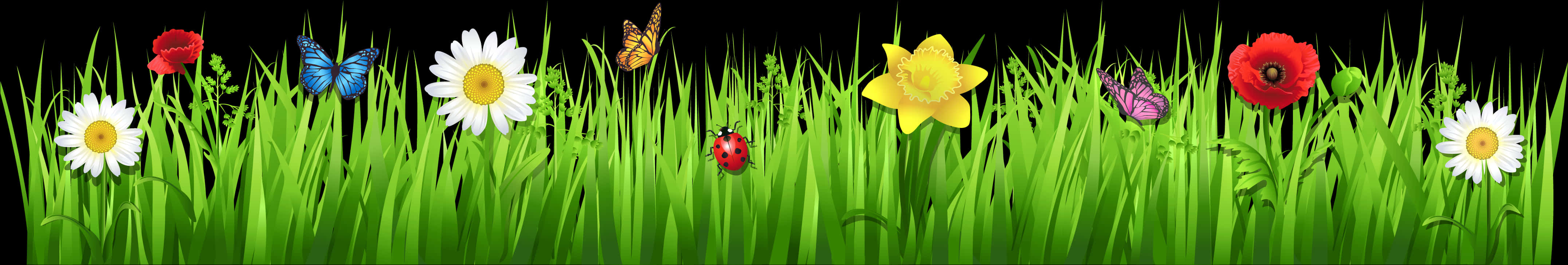 Vibrant_ Flower_and_ Insect_ Border PNG Image