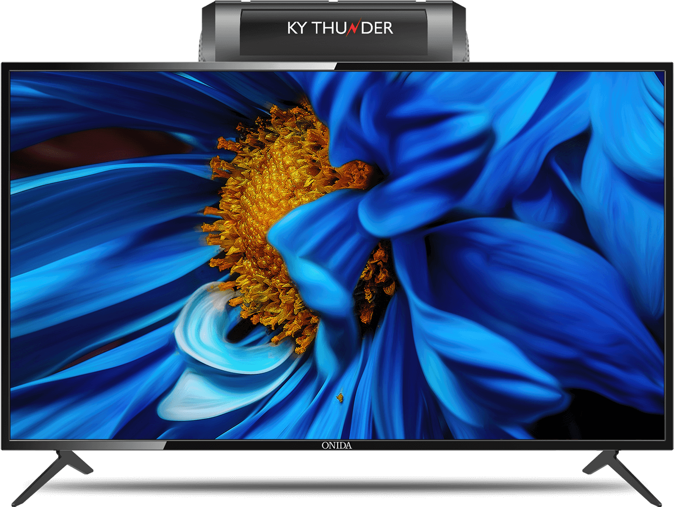 Vibrant Flower On T V Display PNG Image