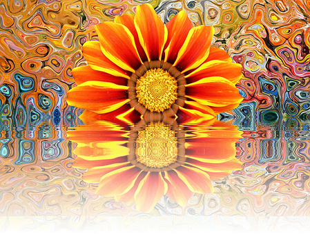 Vibrant Flower Reflection Artistic Background PNG Image