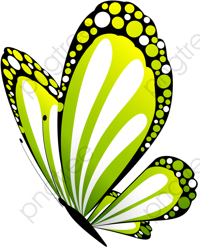 Vibrant Green Butterfly Wings PNG Image