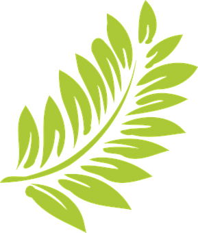 Vibrant Green Fern Leaf Graphic PNG Image