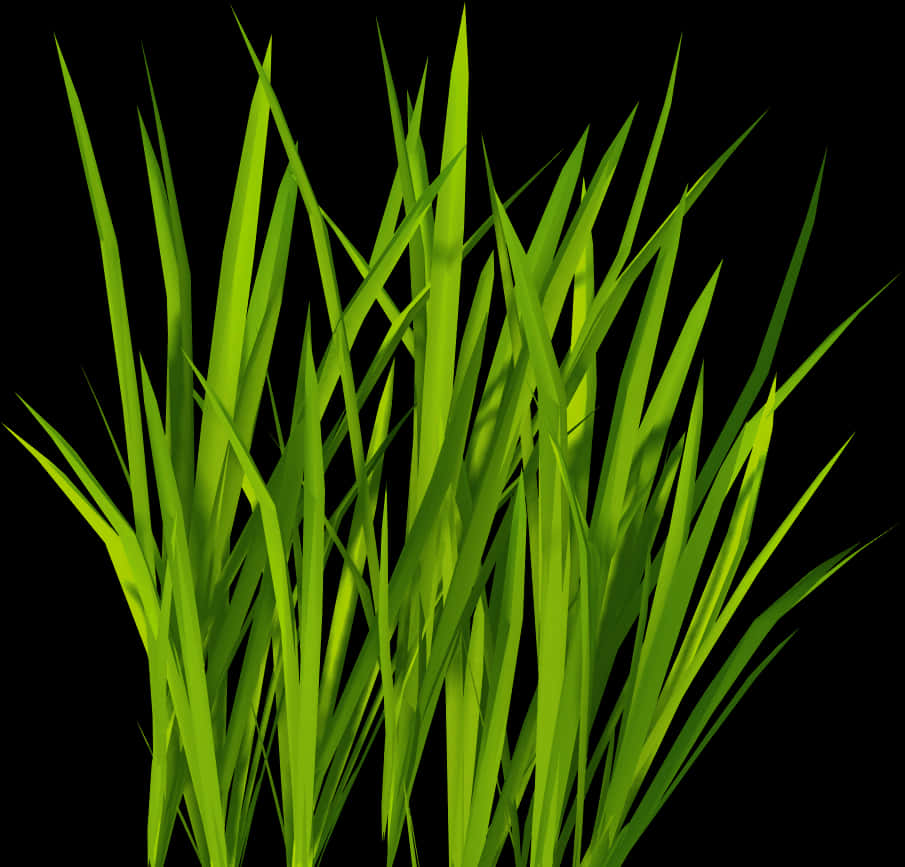 Vibrant Green Grass Black Background PNG Image