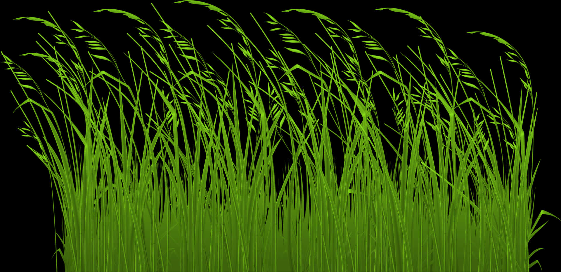 Vibrant Green Grass Blades Black Background PNG Image