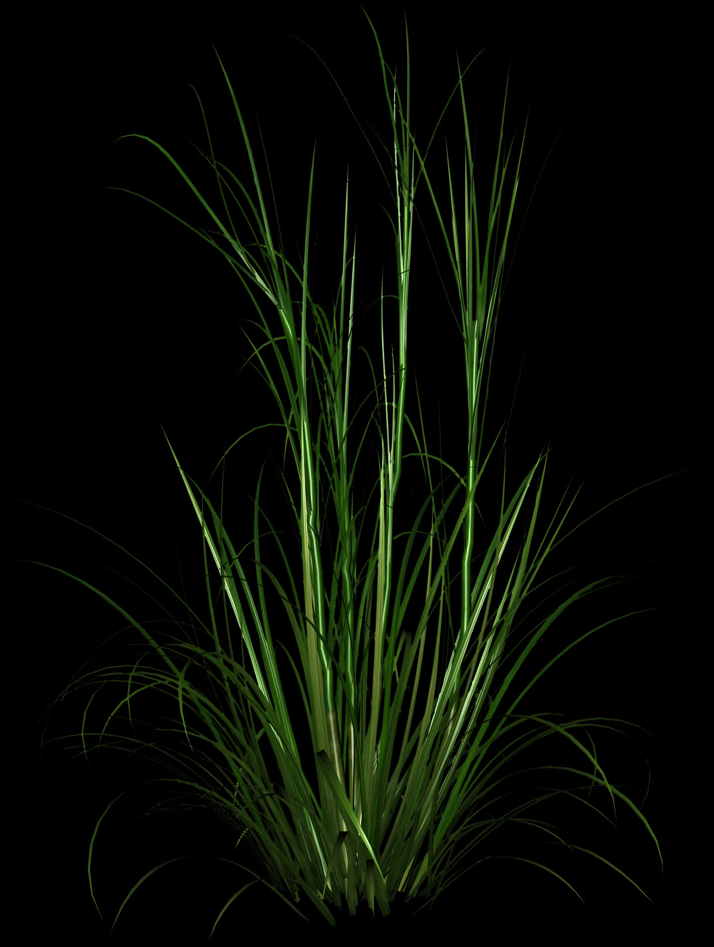 Vibrant Green Grass Clump PNG Image