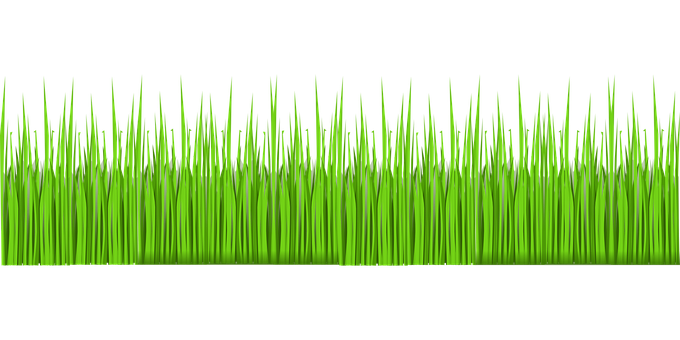 Vibrant Green Grass Texture PNG Image