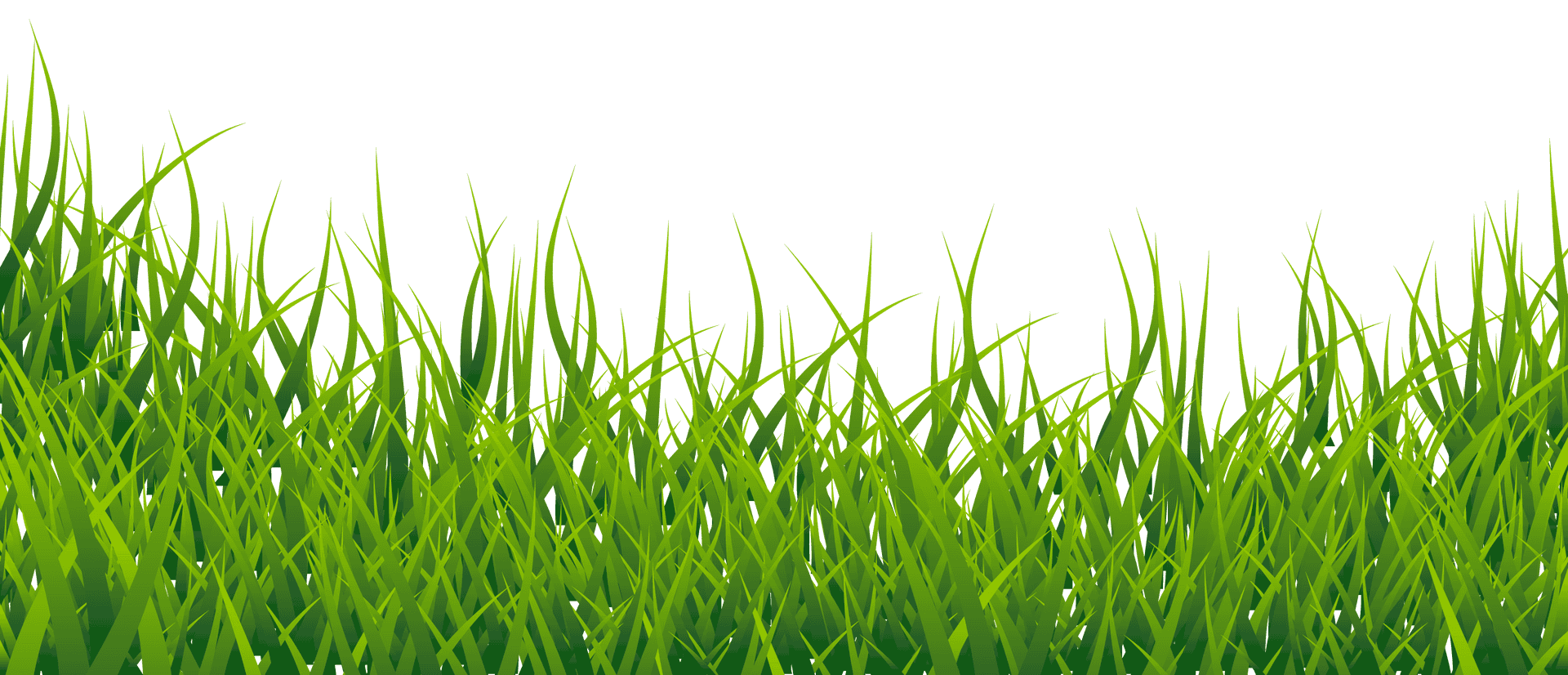 Vibrant Green Grass Texture PNG Image