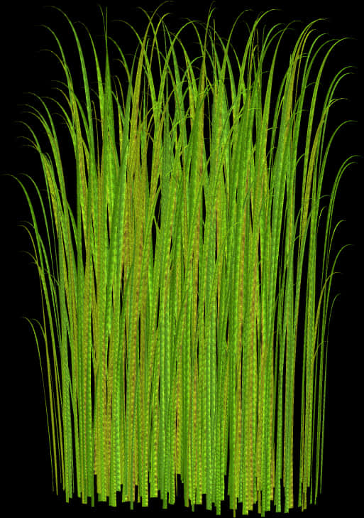 Vibrant Green Grass Texture PNG Image