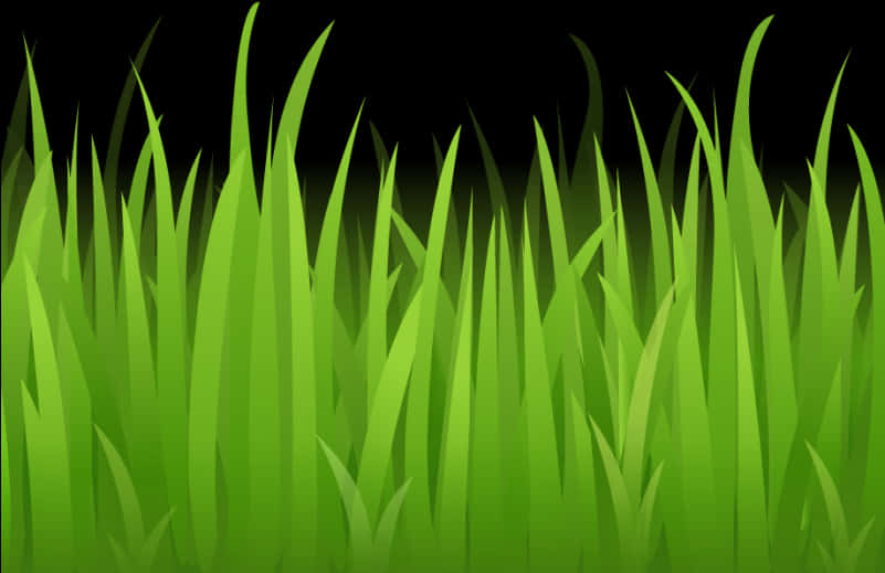 Vibrant Green Grass Vector PNG Image