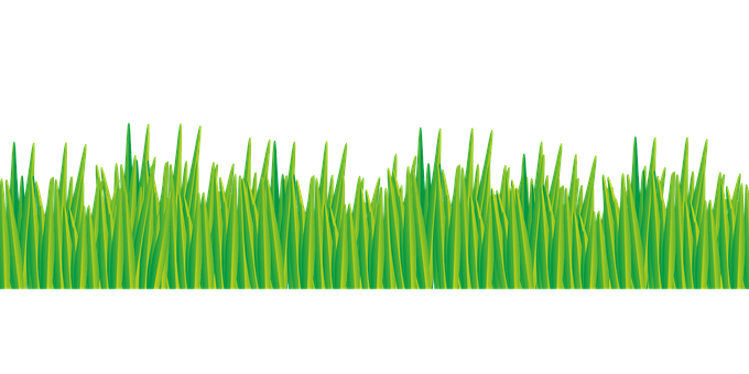 Vibrant Green Grass Vector PNG Image