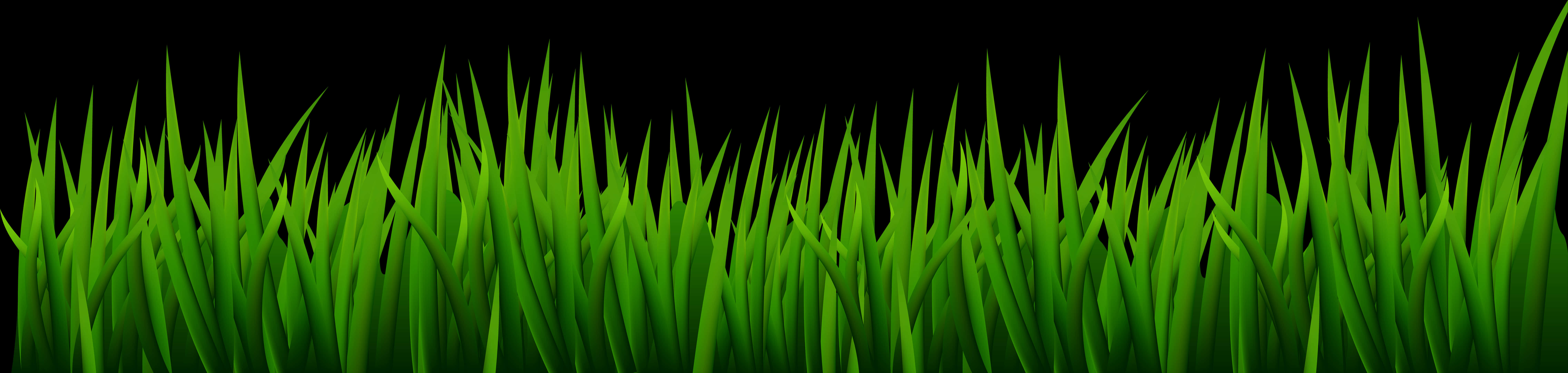 Vibrant Green Grasson Black Background PNG Image