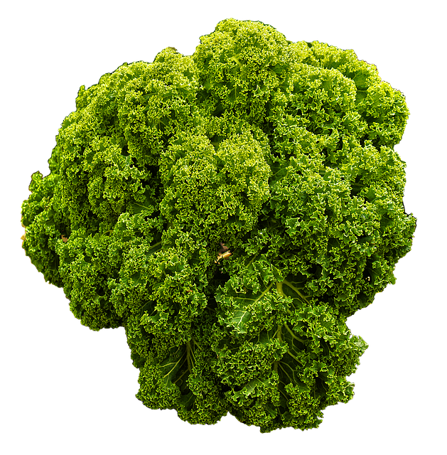 Vibrant Green Kale Isolated PNG Image