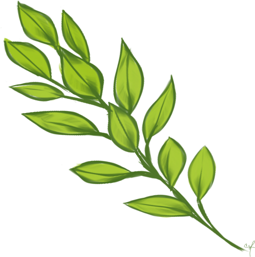 Vibrant Green Laurel Branch PNG Image