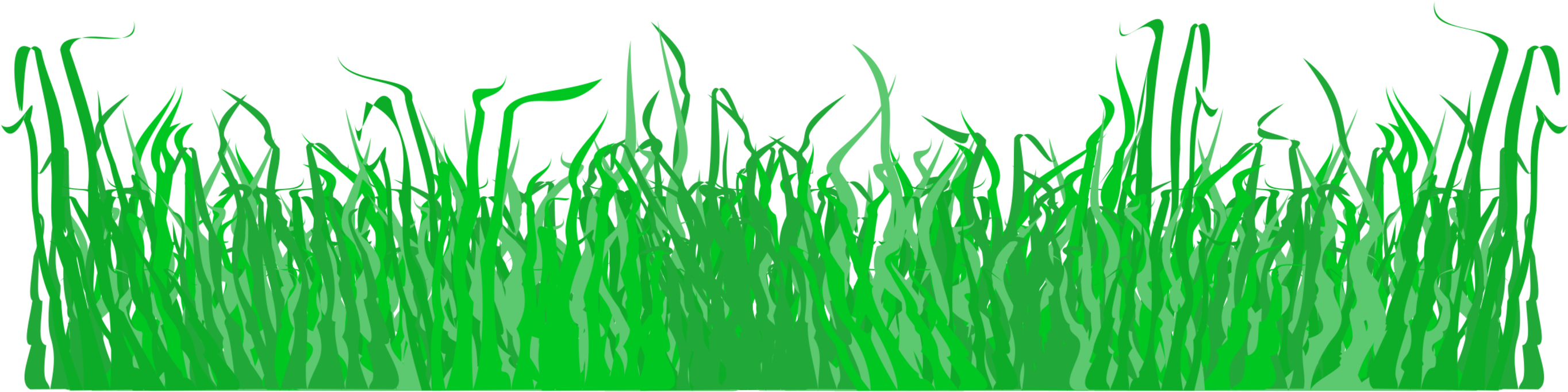 Vibrant Green Lawn Grass PNG Image