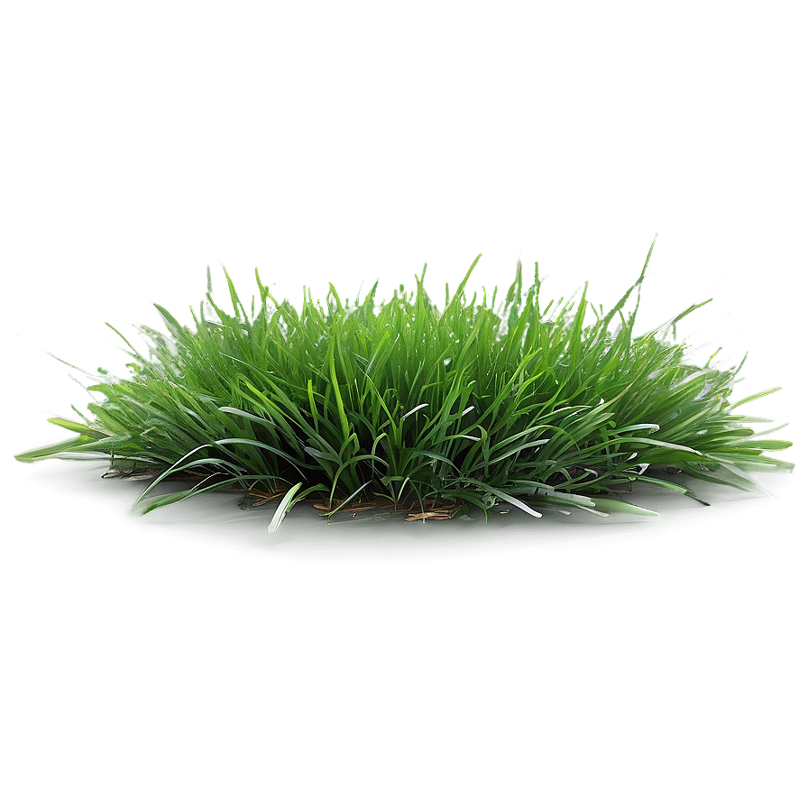 Vibrant Green Lawn Png Cdg PNG Image