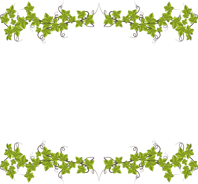 Vibrant Green Leaf Frame PNG Image