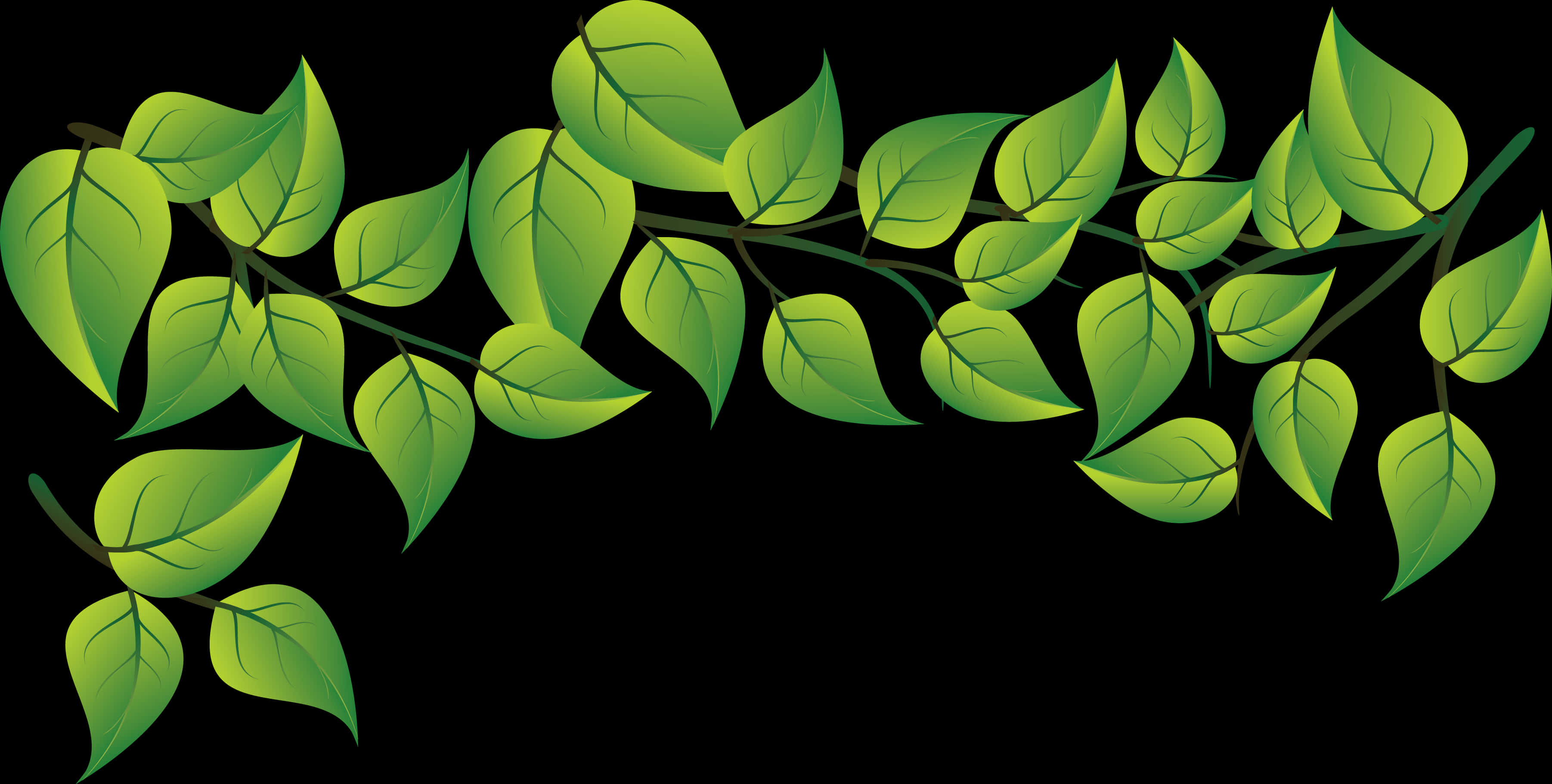 Vibrant Green Leaves Vector PNG Image