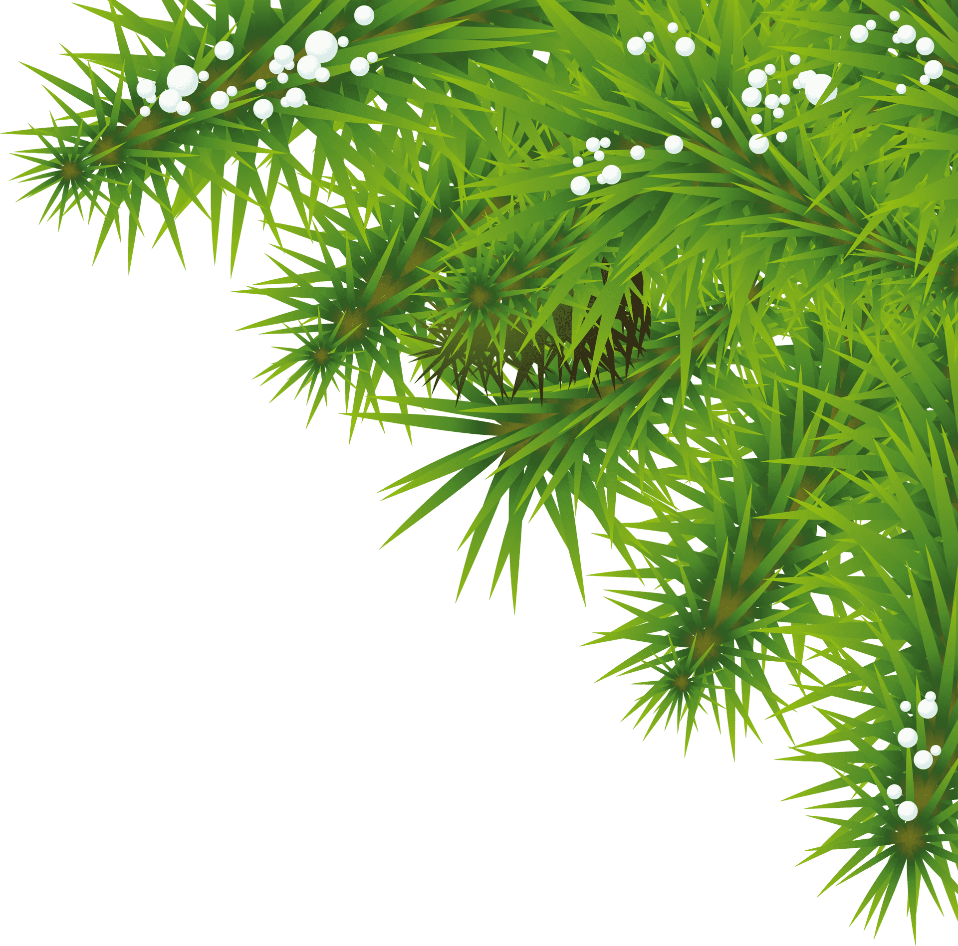 Vibrant Green Nature Background PNG Image