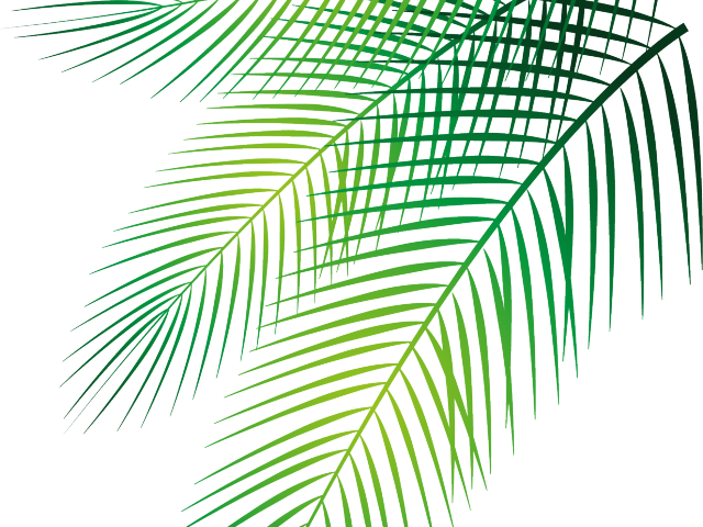 Vibrant Green Palm Fronds PNG Image