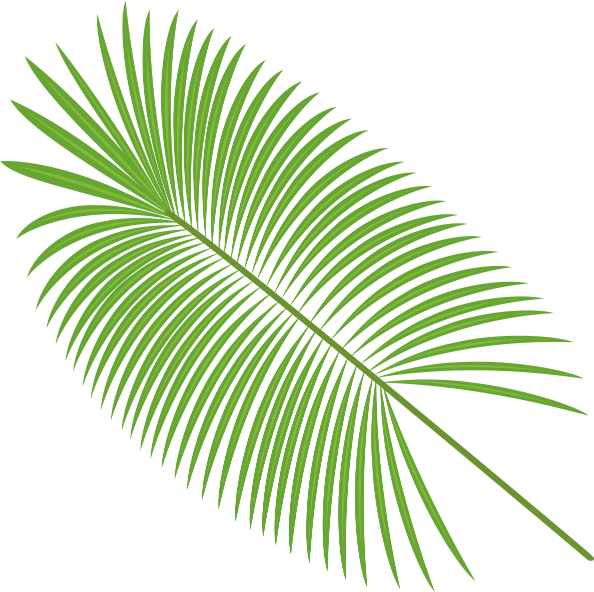 Vibrant Green Palm Leaf PNG Image