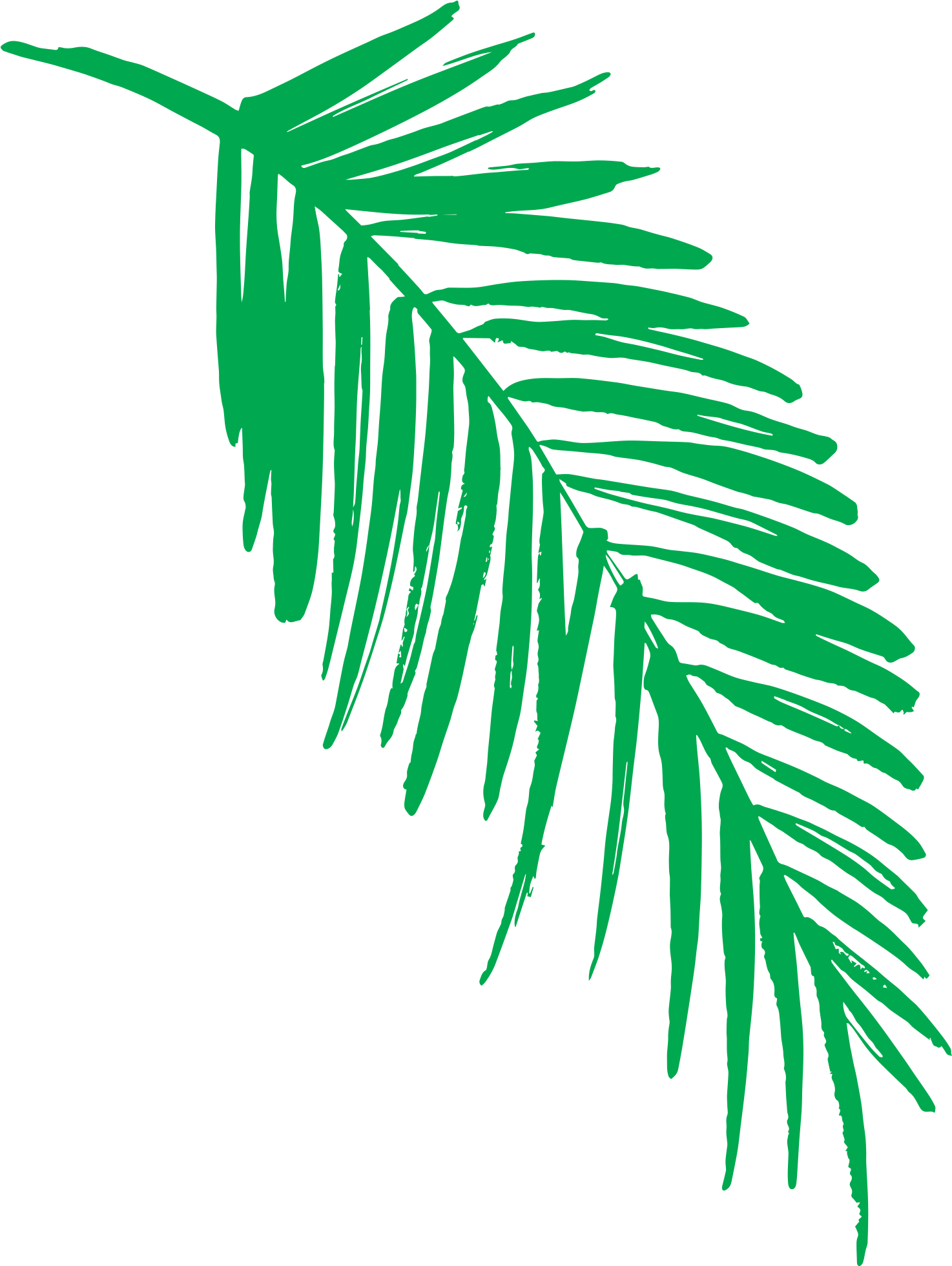 Vibrant Green Palm Leaf Graphic PNG Image