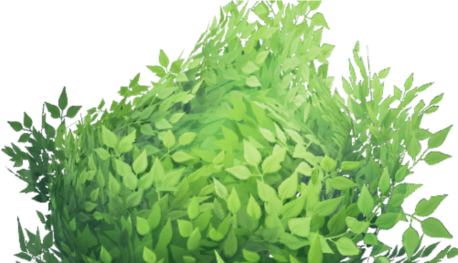 Vibrant Green Shrubbery PNG Image