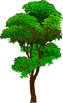 Vibrant Green Tree Illustration PNG Image