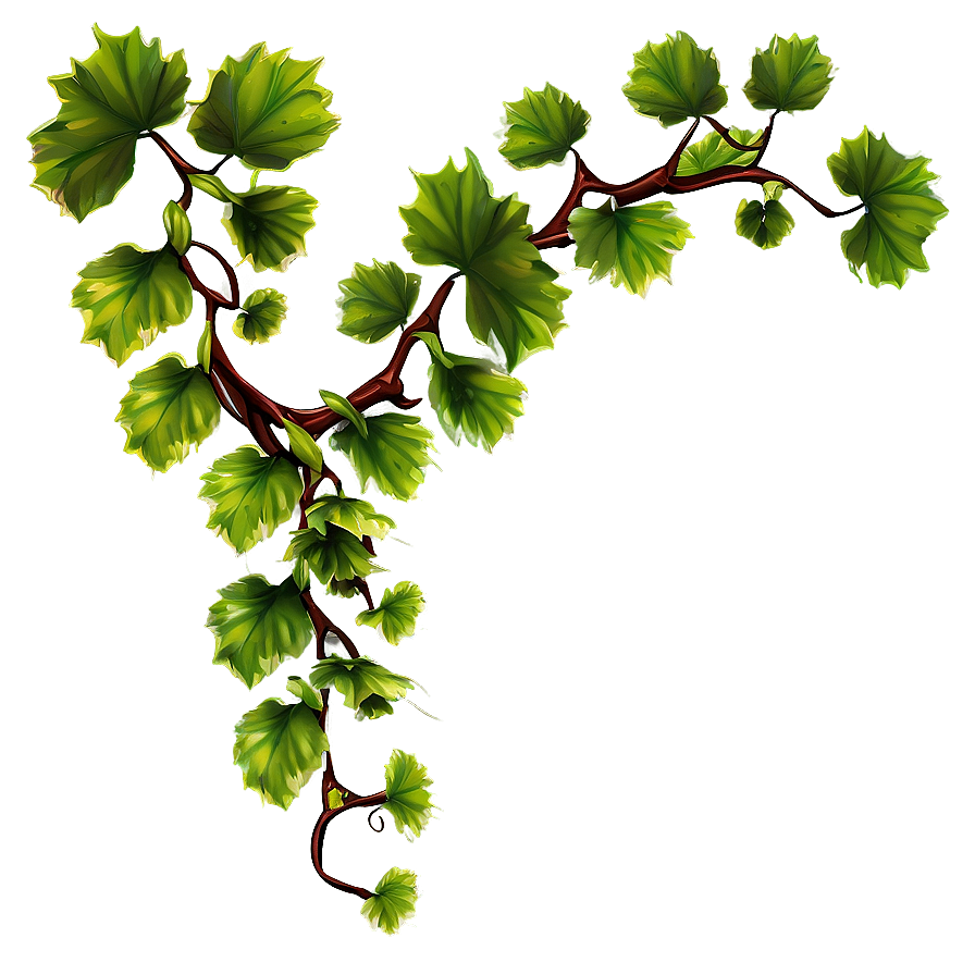 Vibrant Green Vine Leaves PNG Image