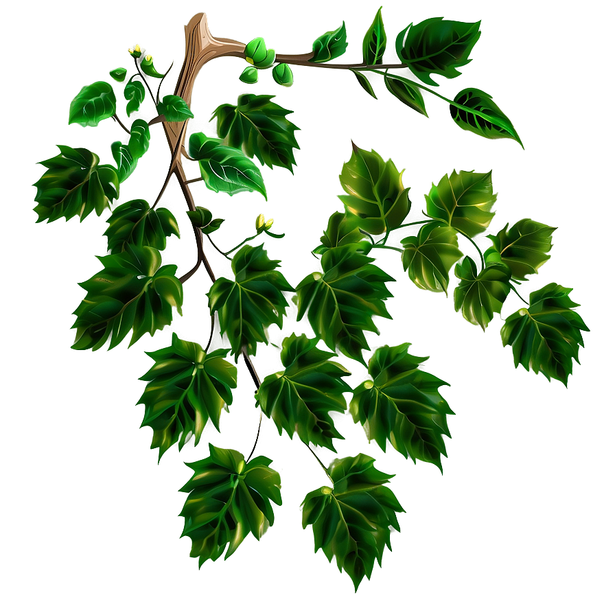 Vibrant Green Vine Leaves PNG Image