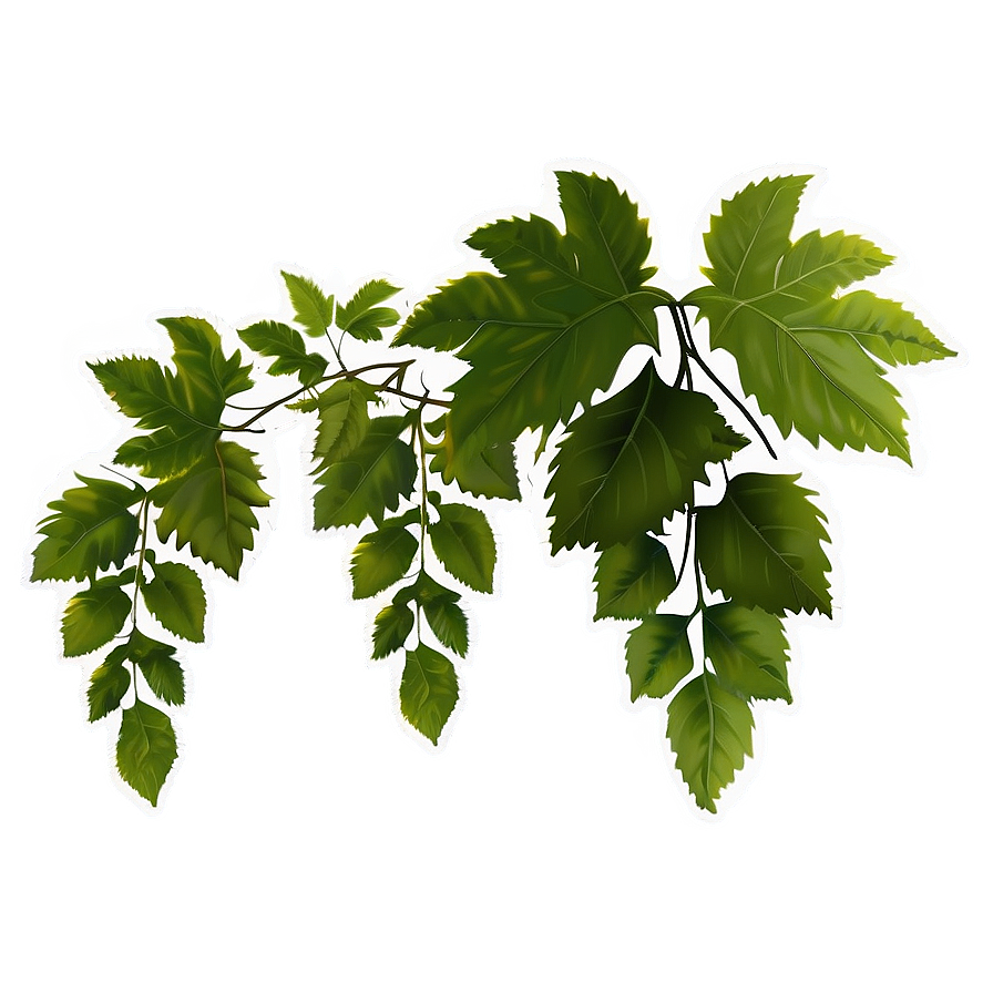 Vibrant Green Vine Leaves PNG Image