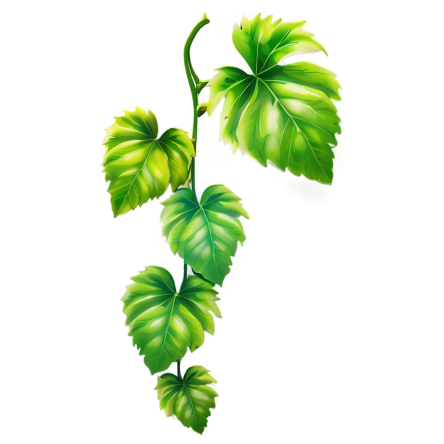 Vibrant Green Vine Leaves PNG Image