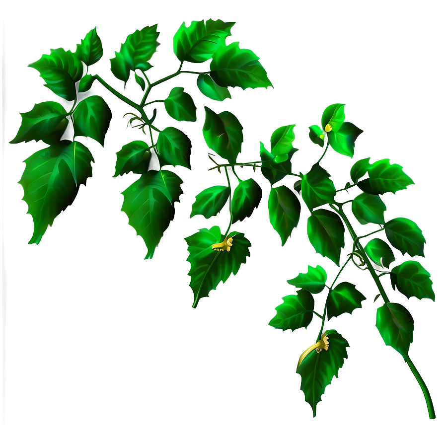 Vibrant Green Vine Leaves PNG Image