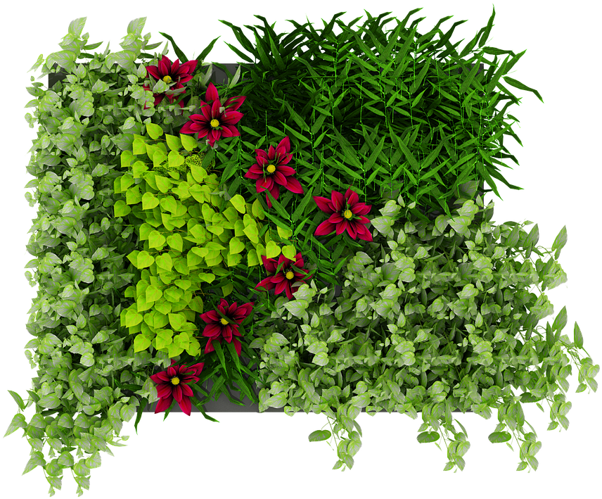 Vibrant Greeneryand Flowers Texture PNG Image